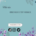 what does sybau mean in text message