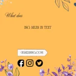 what does isg mean in text