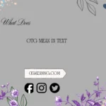 what does otg mean in text