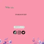 what does yn mean in text