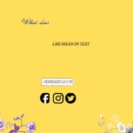 what does lms mean in text