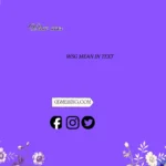 what does wsg mean in text