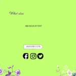 what does ims mean in text