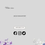 delulu meaning in text
