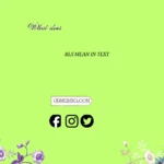 what does rls mean in text