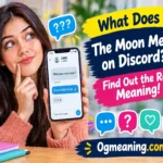 what does the moon mean on Discord