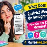 what does restrict mean on instagram