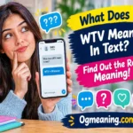 what does wtv mean in text