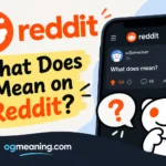what does mean on reddit