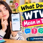 what does wtv mean in text